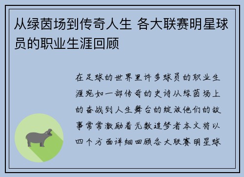 从绿茵场到传奇人生 各大联赛明星球员的职业生涯回顾