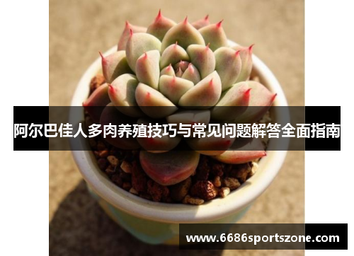 阿尔巴佳人多肉养殖技巧与常见问题解答全面指南